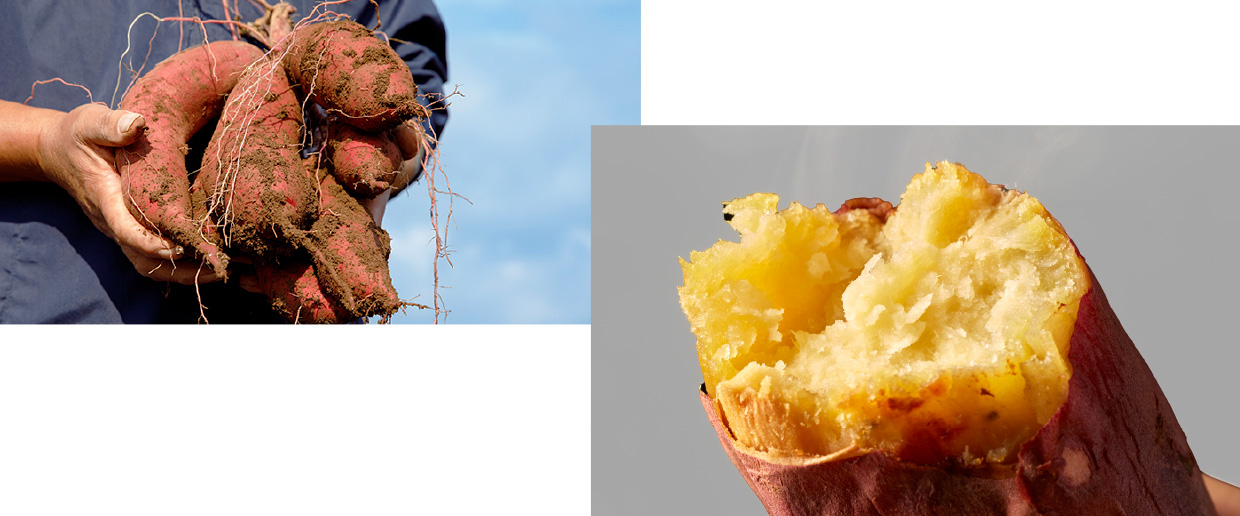 薩摩焼芋3515（鹿児島市中町）のホームページ